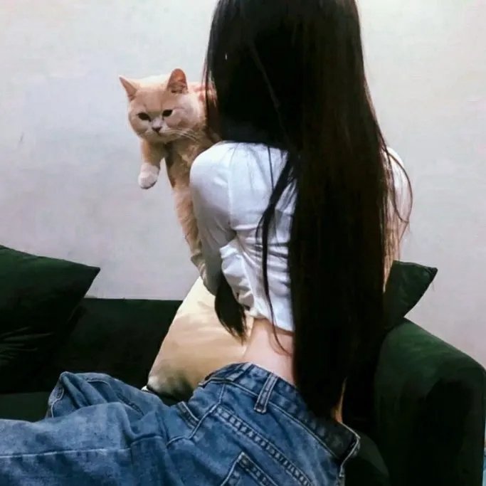 宝拉